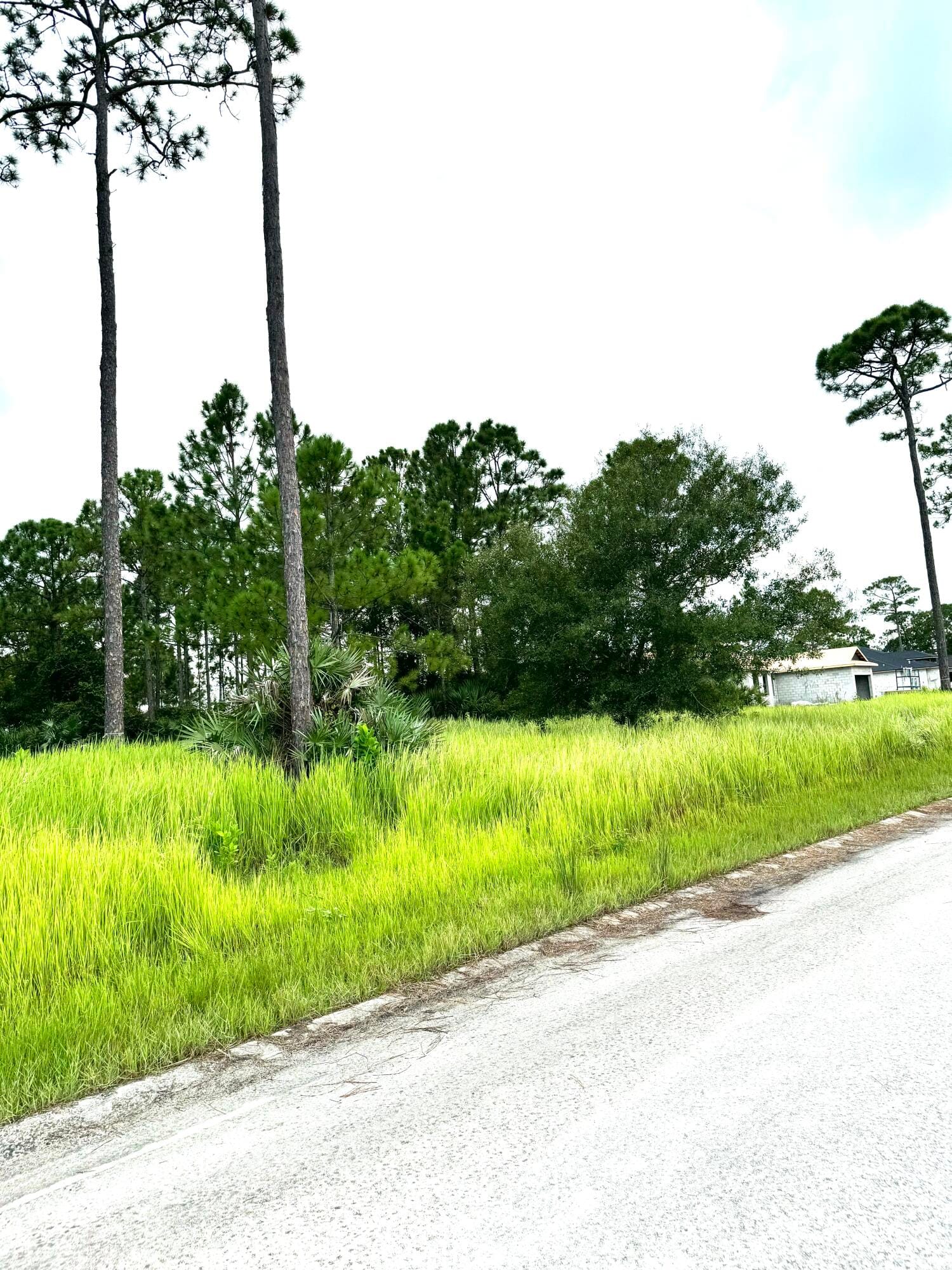 10615 Sugar Pine Drive — photo 10