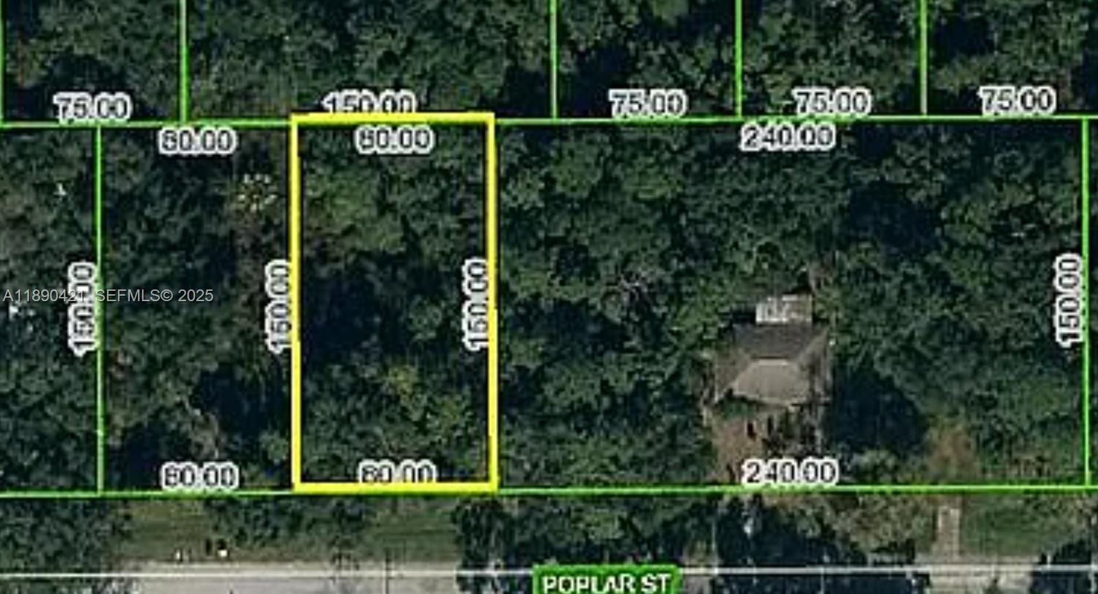 1508 Poplar Street, Lake Placid, FL 33852, Lake Placid