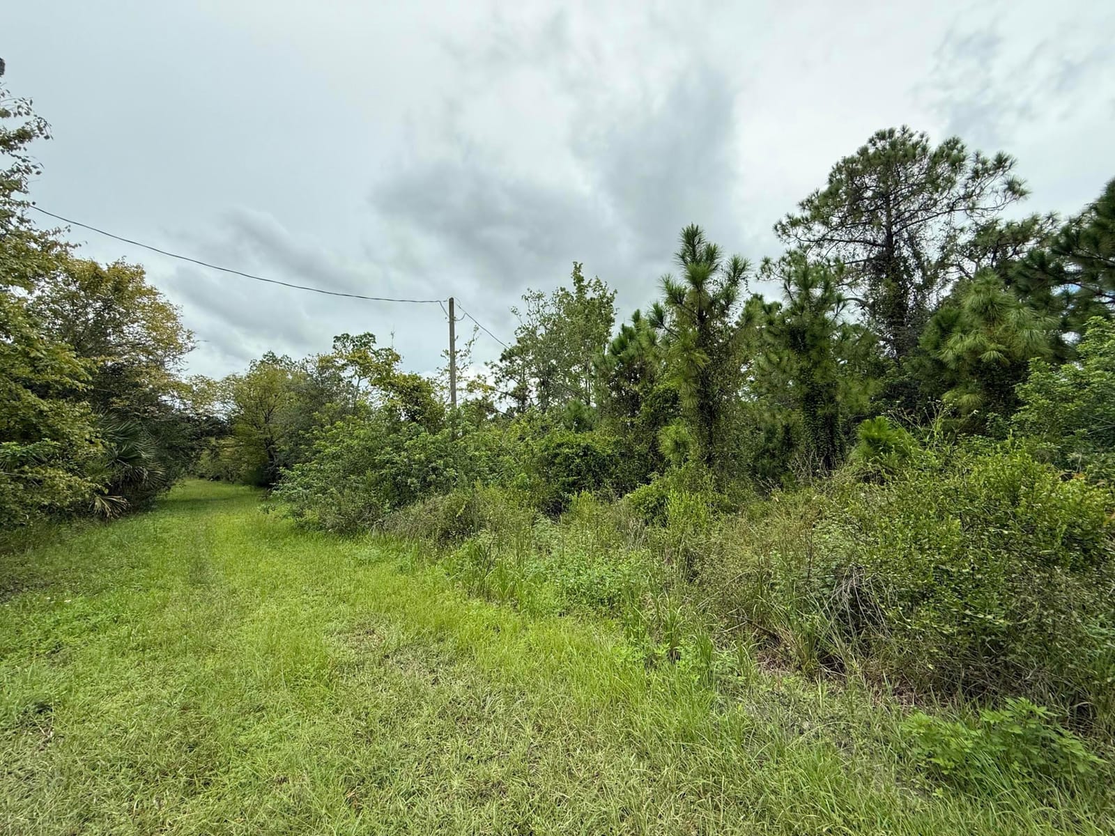 30081 NE 17th Avenue, Okeechobee, FL 34972