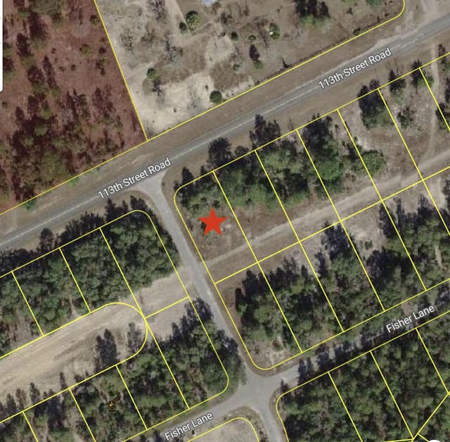 0 Tbd 113th Street Lot 1 Road, Ocklawaha, FL 32179