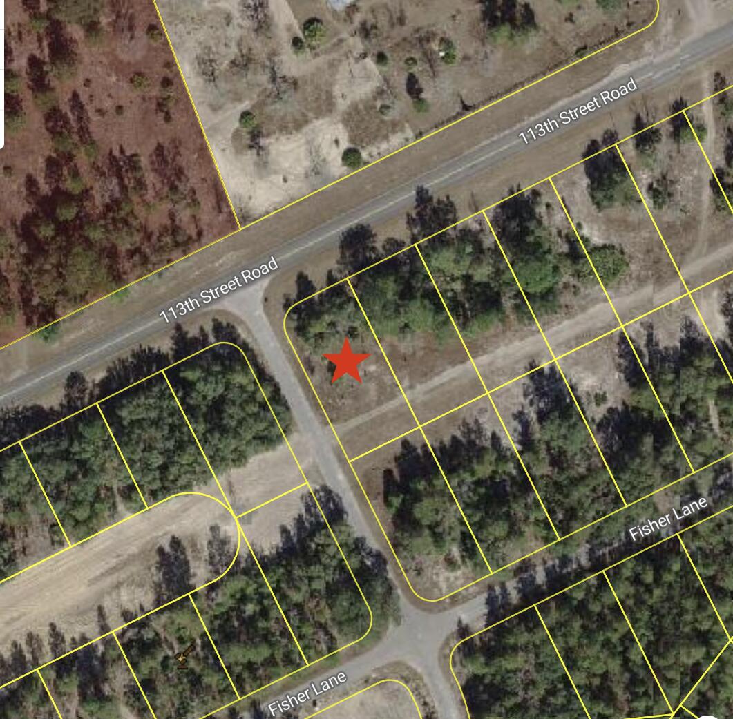 0 Tbd 113th Street Lot 1 Road, Ocklawaha, FL 32179, Ocklawaha