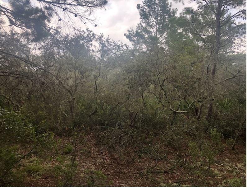 0 Alturas Babson Park Cutoff Road — photo 2
