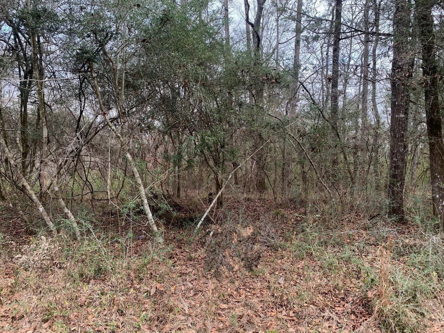 0 Griffin Circle — photo 2