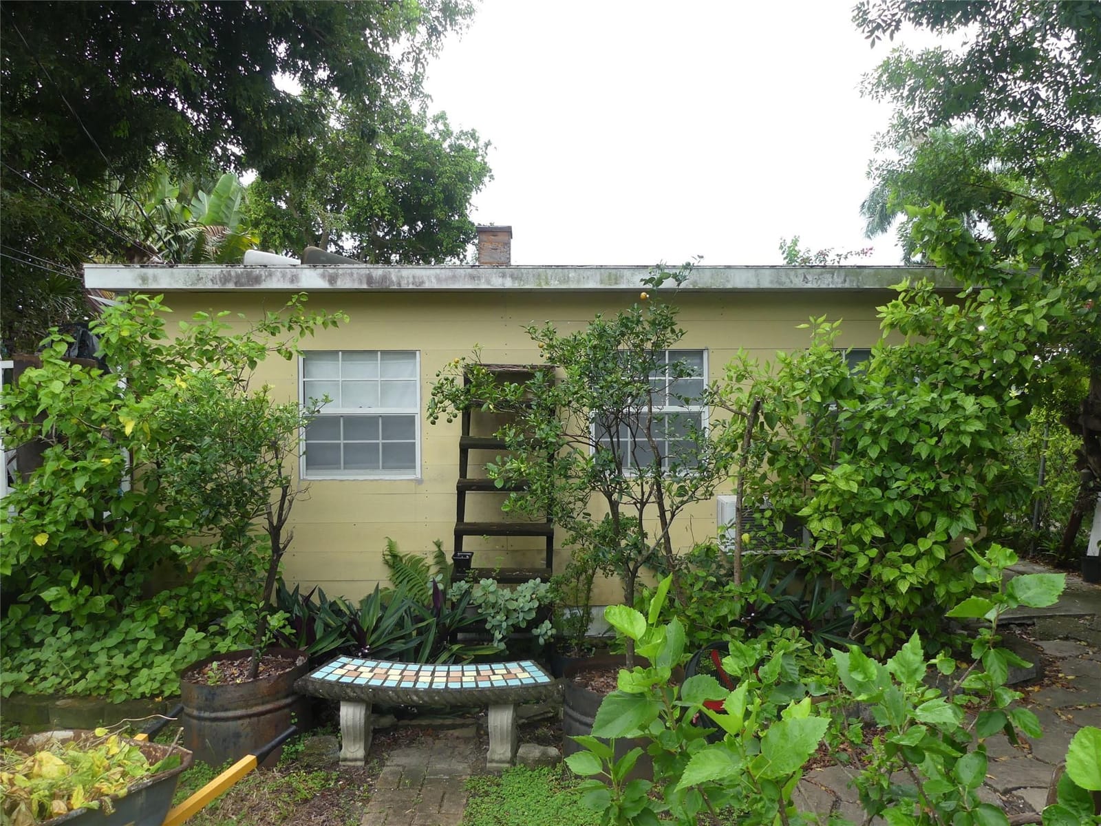 1629 Mayo Street, Hollywood, FL 33020 photo 6