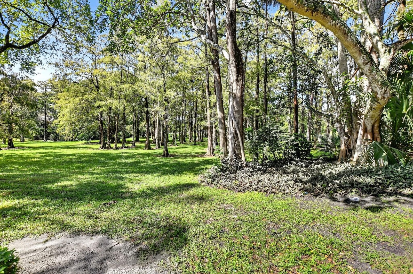 2219 NW 45 Avenue, Coconut Creek, FL 33066 photo 21