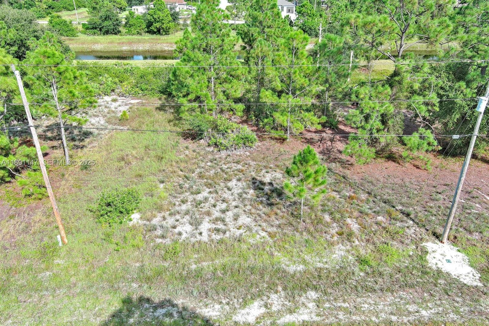 745 Troy Avenue — photo 8
