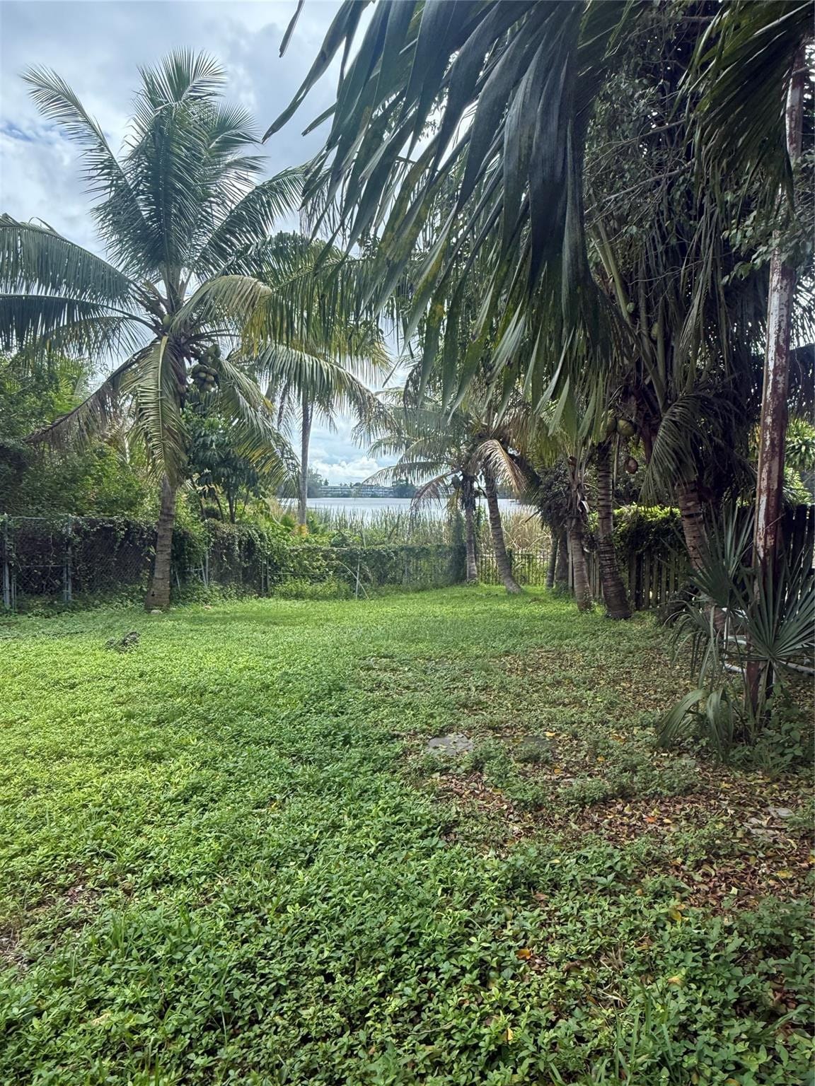 1270 NW 111th Street, Miami, FL 33167 photo 3