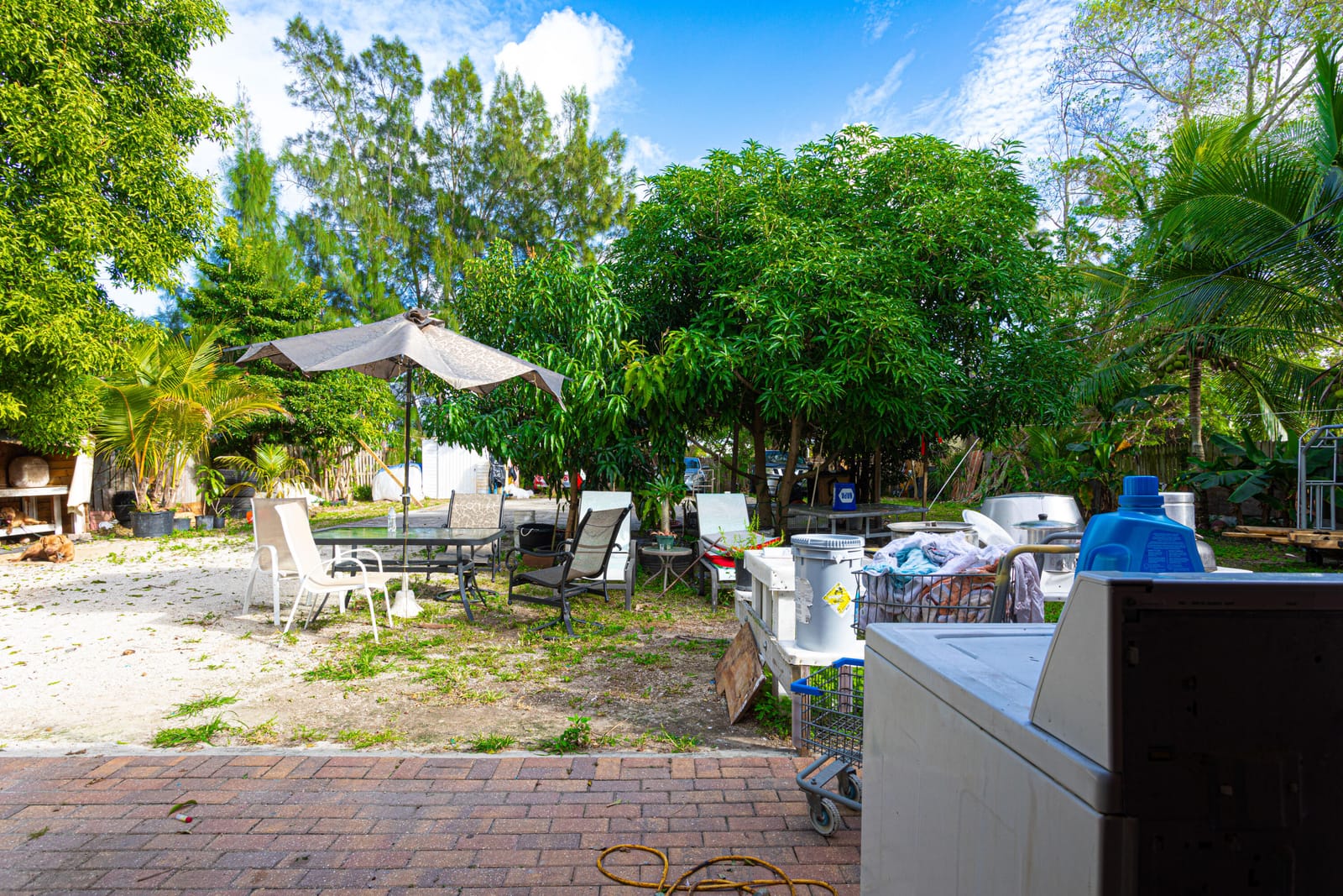 1501 NE 3rd Avenue, Delray Beach, FL 33444 photo 27