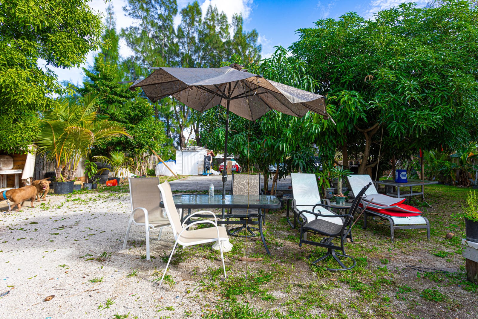 1501 NE 3rd Avenue, Delray Beach, FL 33444 photo 28