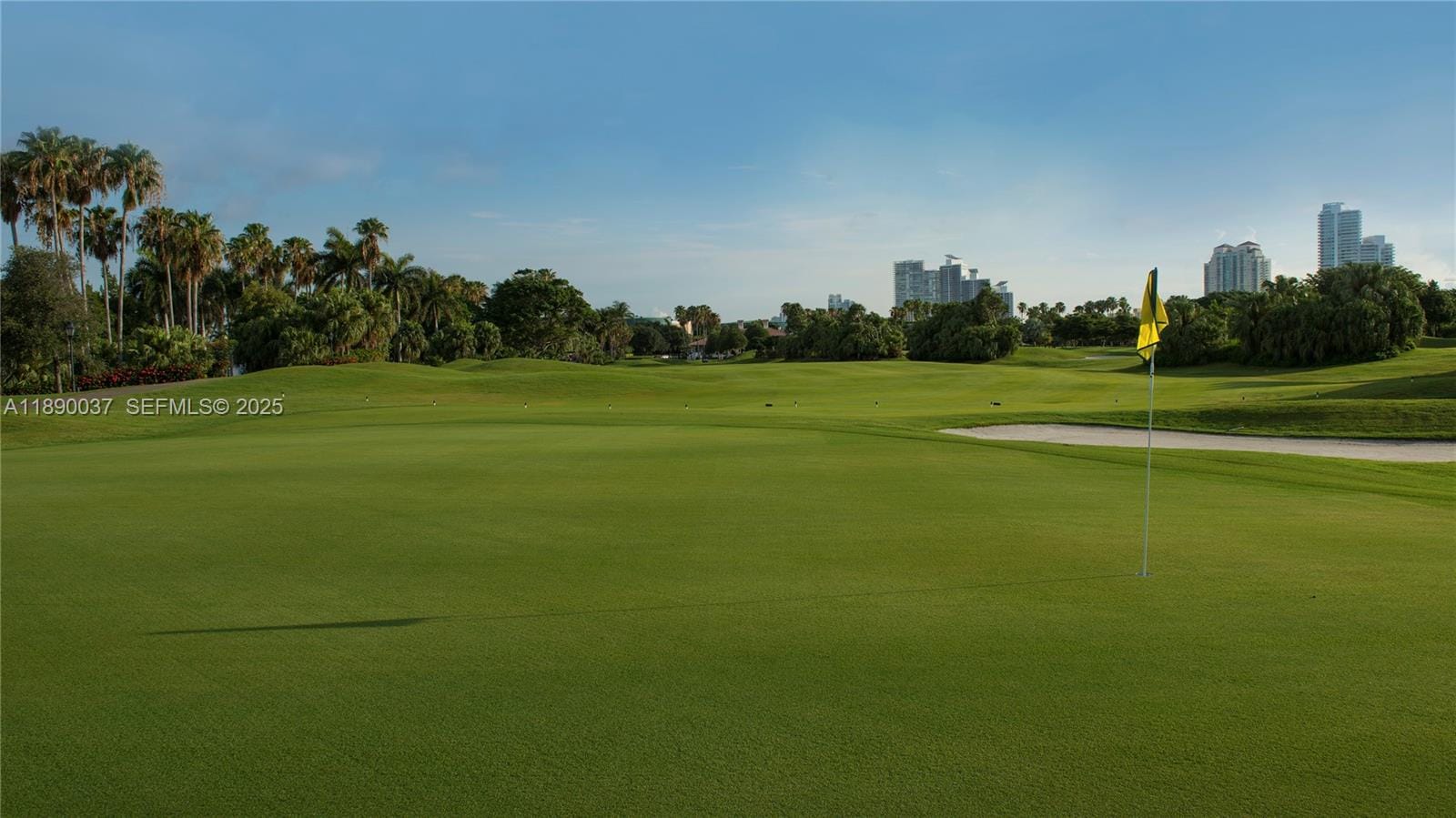 1005 Fisher Island Drive, Miami Beach, FL 33109 photo 26