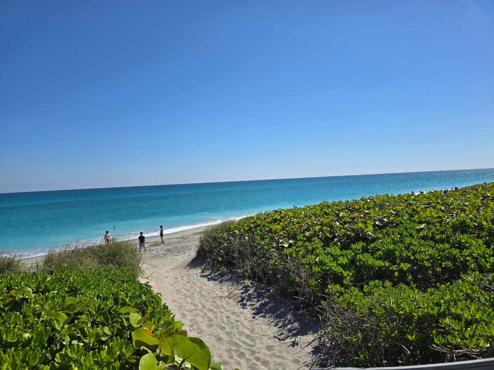 420 Celestial Way 204, Juno Beach, FL 33408 photo 2