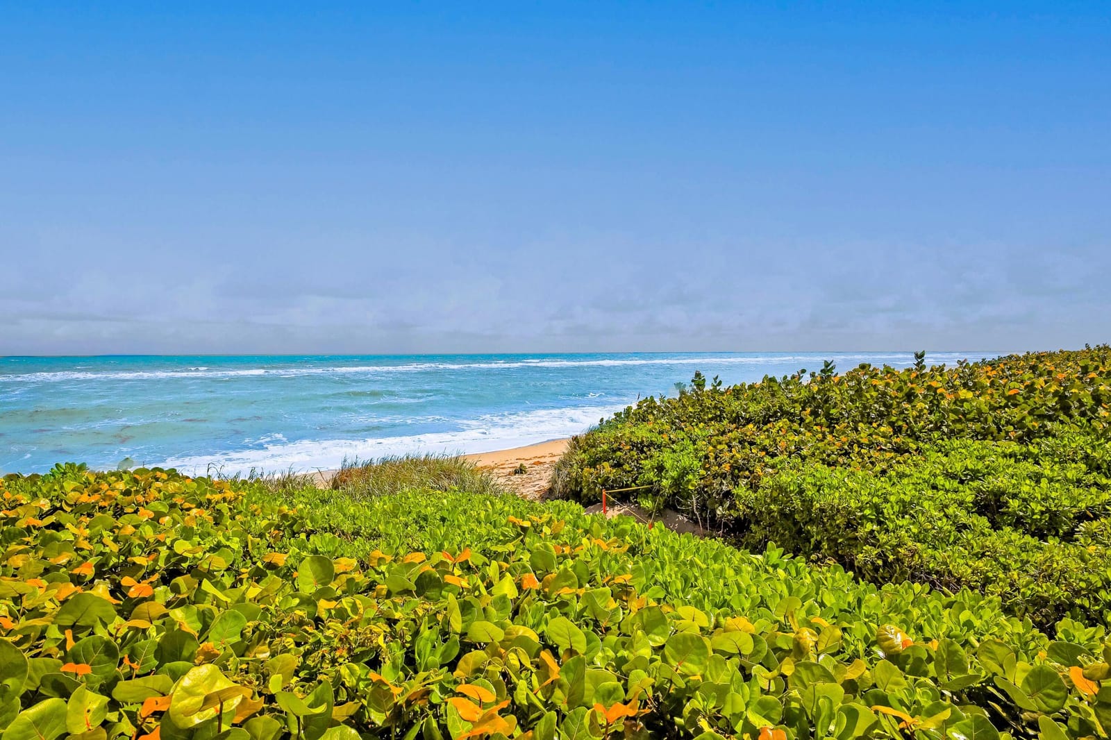 420 Celestial Way 204, Juno Beach, FL 33408 photo 4