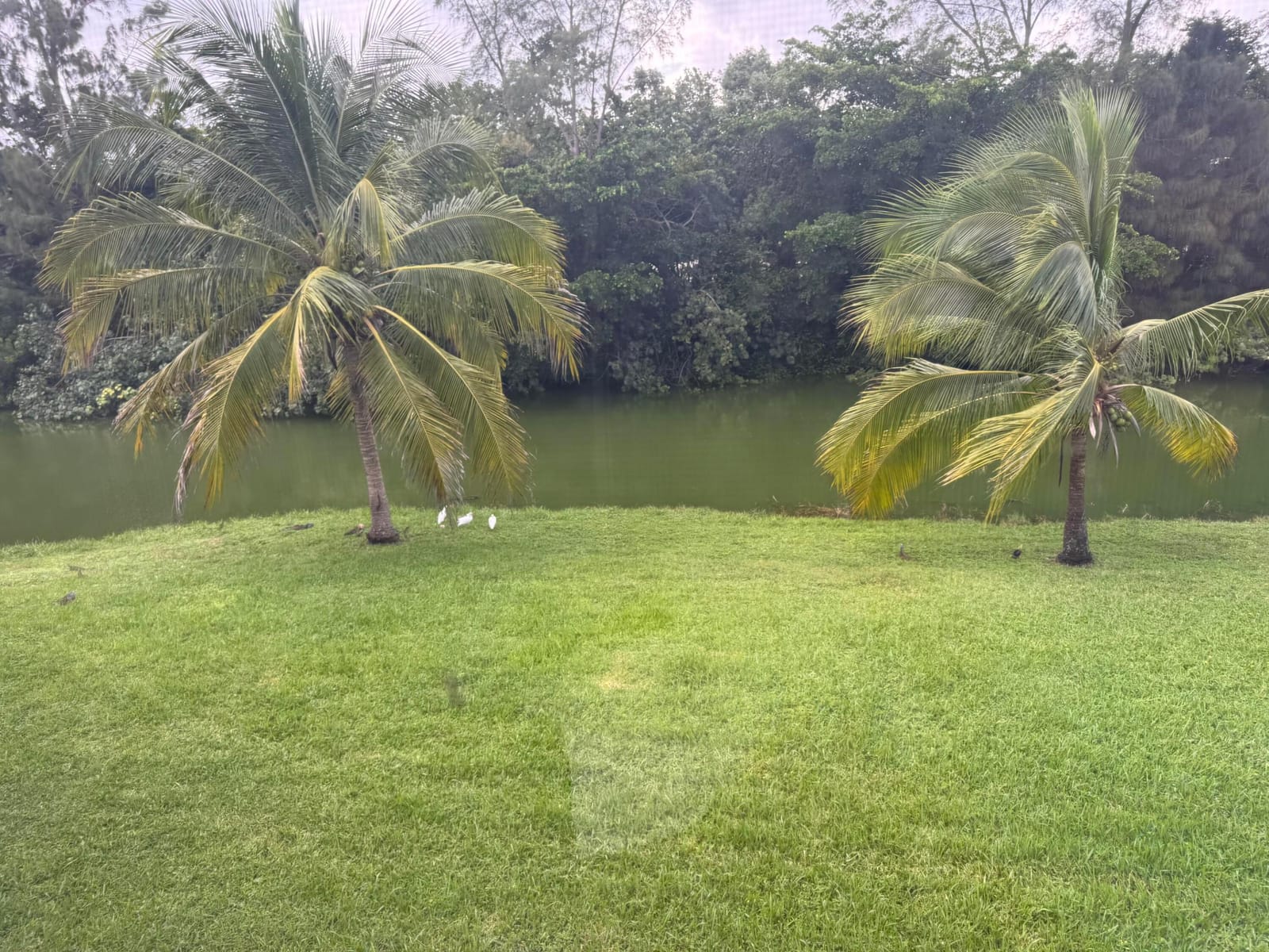 101 E Windsor E 101, West Palm Beach, FL 33417 photo 17