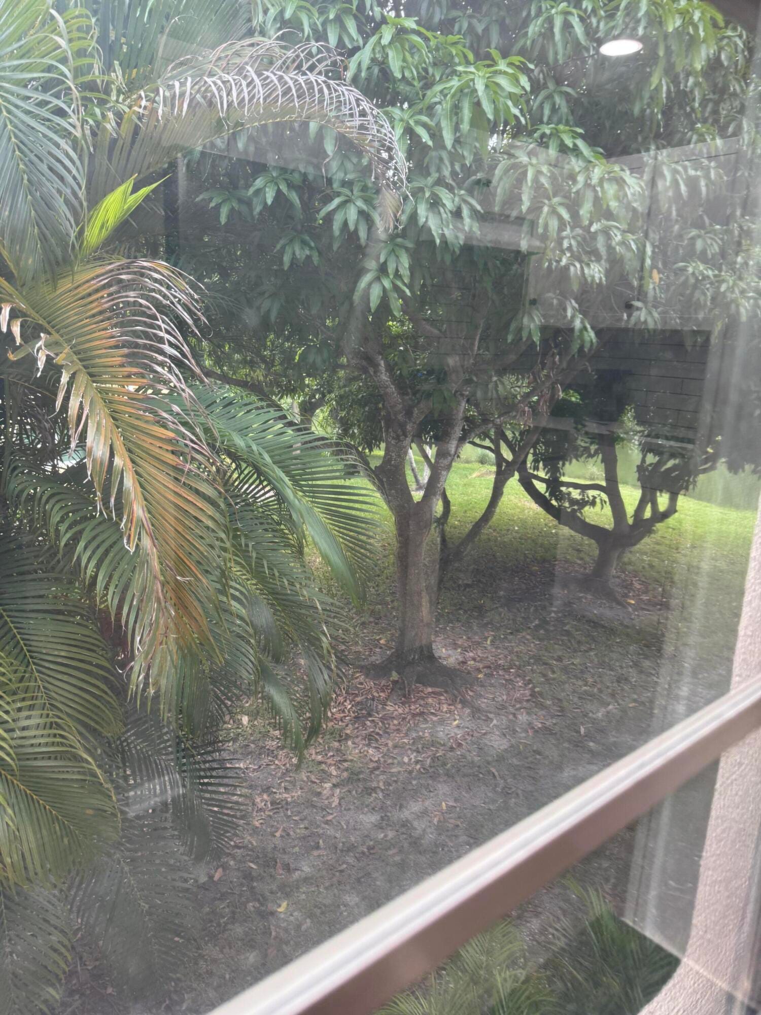 101 E Windsor E 101, West Palm Beach, FL 33417 photo 19