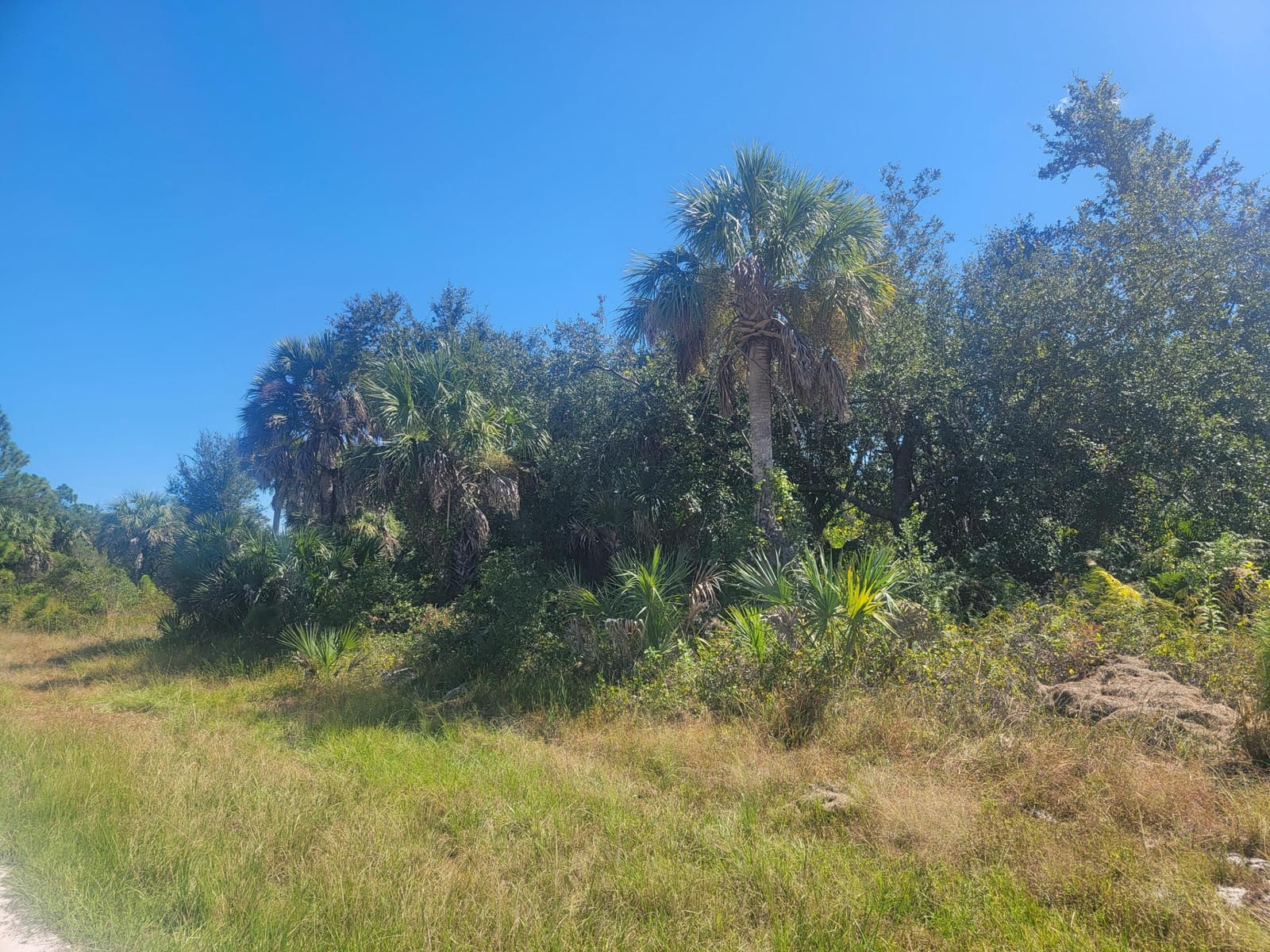 14313 Rothschild Avenue — photo 3