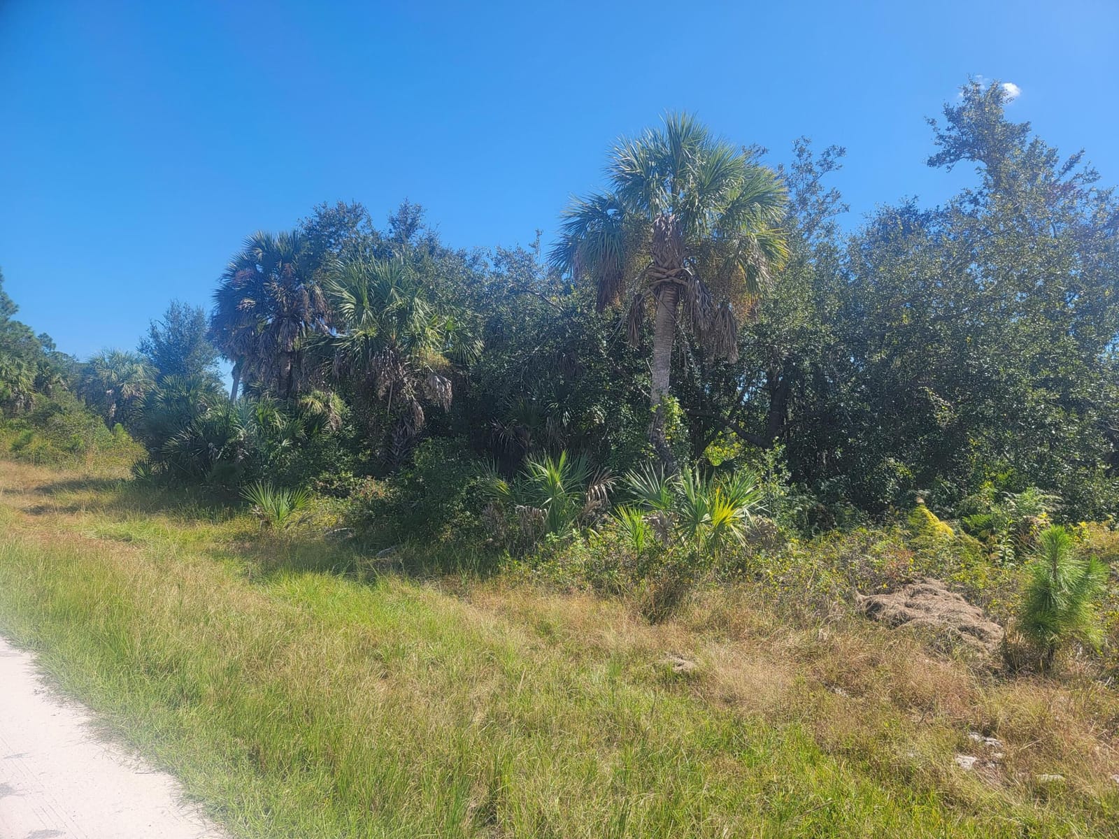 14313 Rothschild Avenue — photo 4
