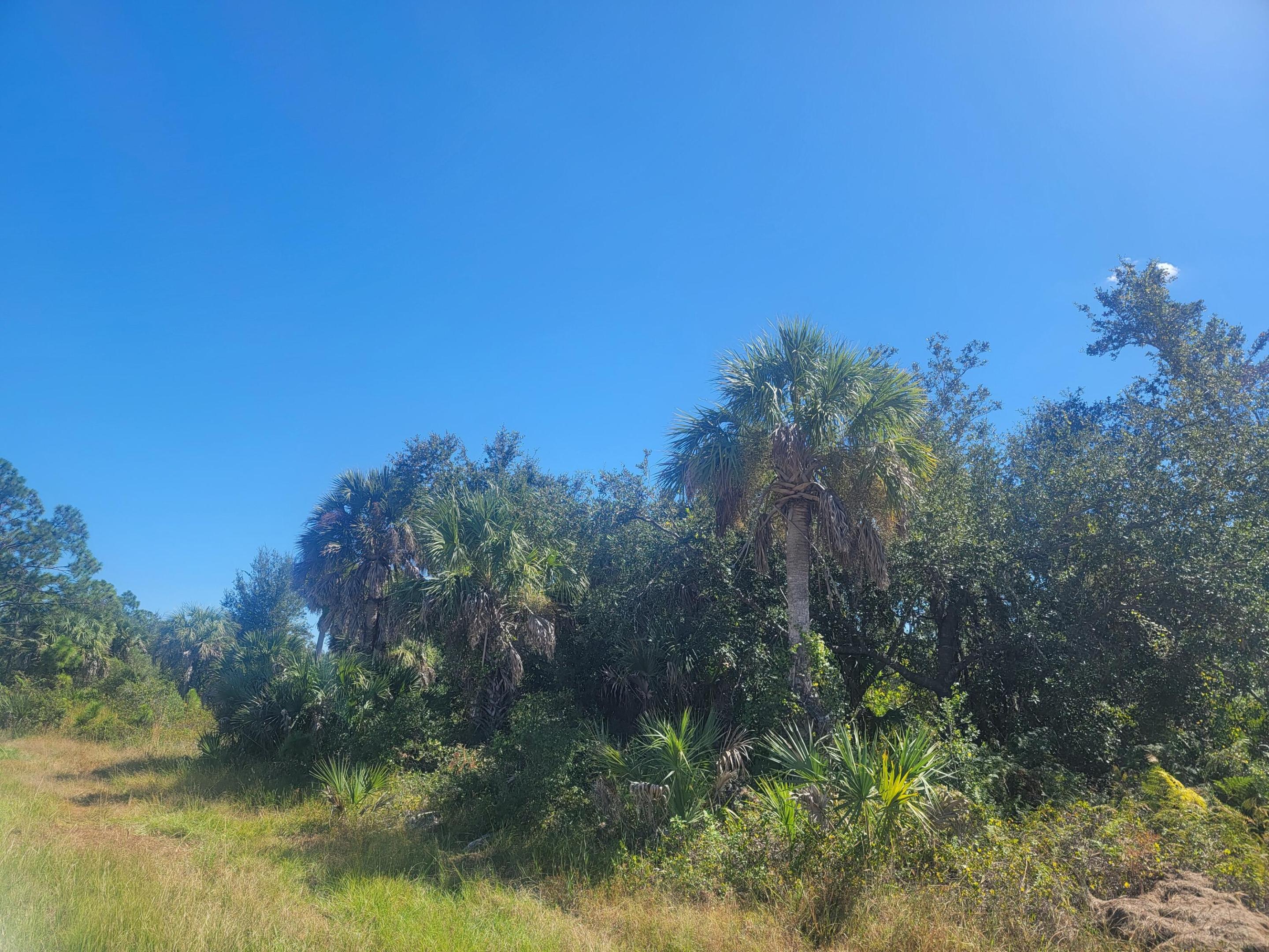 14313 Rothschild Avenue, Port Charlotte, FL 33953, Port Charlotte