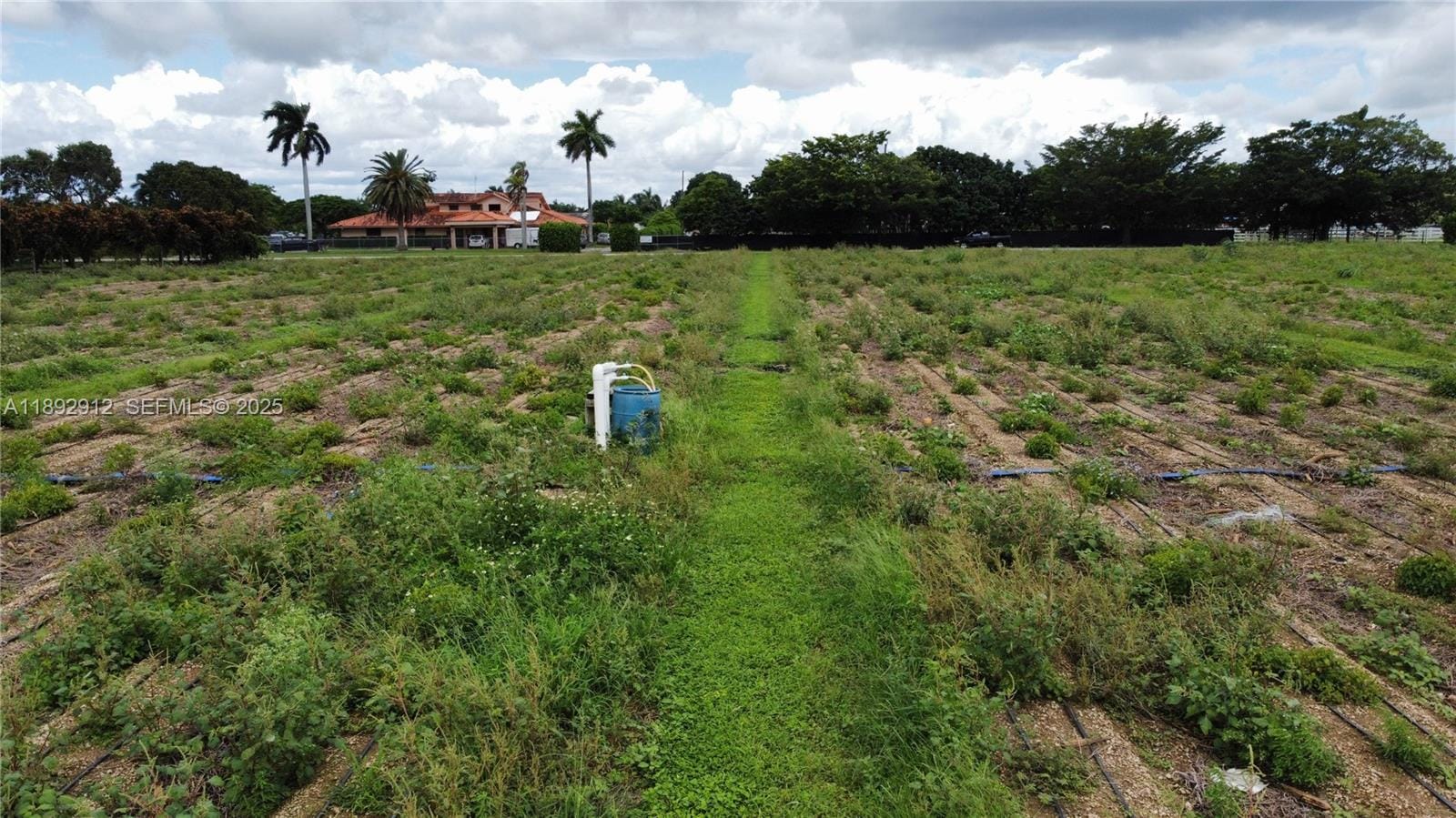 224XX SW 252nd St-lease Only, Homestead, FL 33031 photo 11