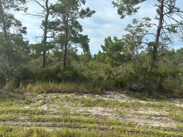 533 Boylston Street, Lake Placid, FL 33852, Lake Placid