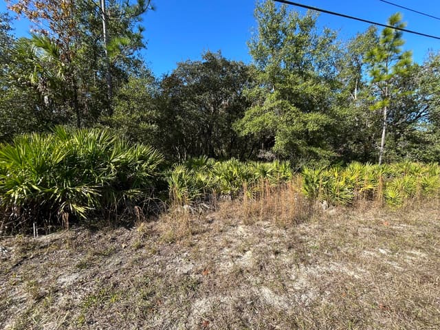 632 N Dunkenfield Avenue, Crystal River, FL 34429