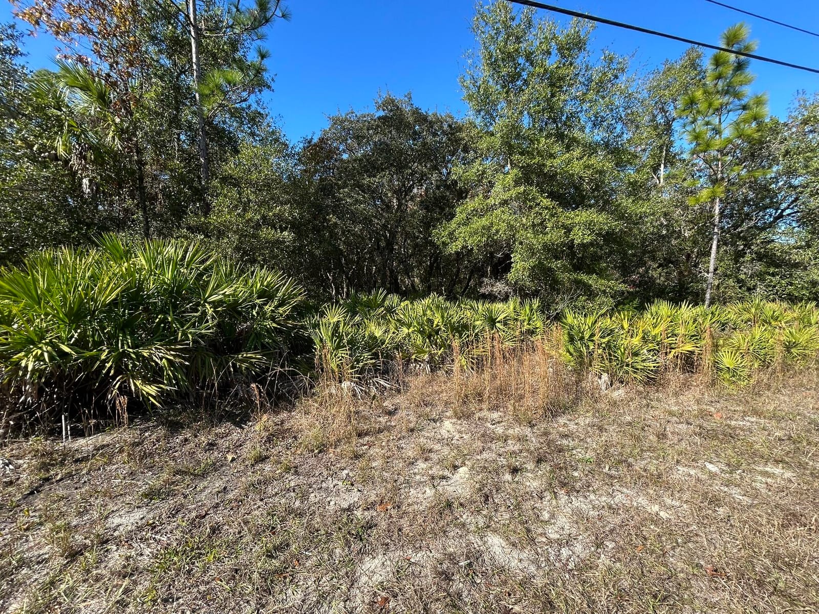 632 N Dunkenfield Avenue, Crystal River, FL 34429