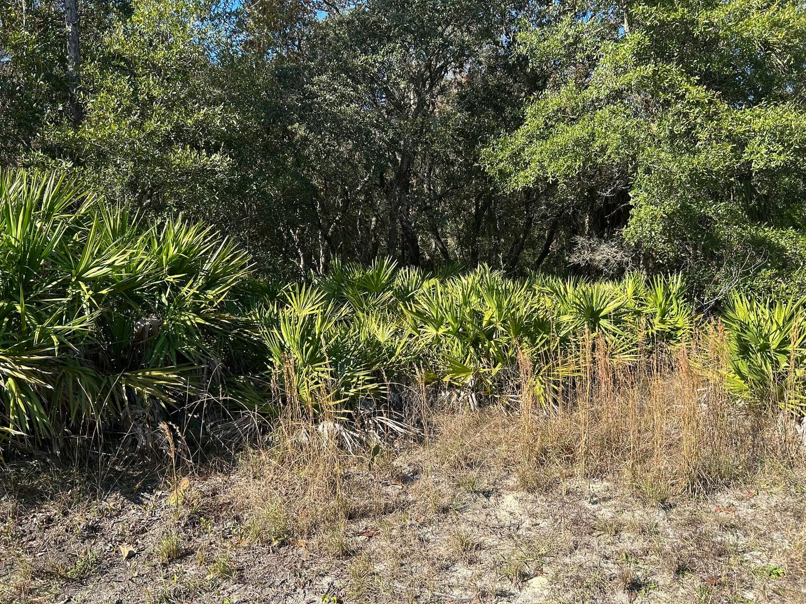 632 N Dunkenfield Avenue, Crystal River, FL 34429 photo 2