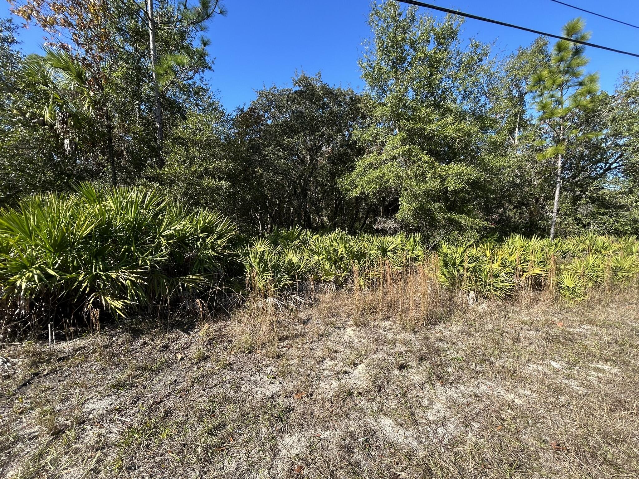 632 N Dunkenfield Avenue, Crystal River, FL 34429, Crystal River