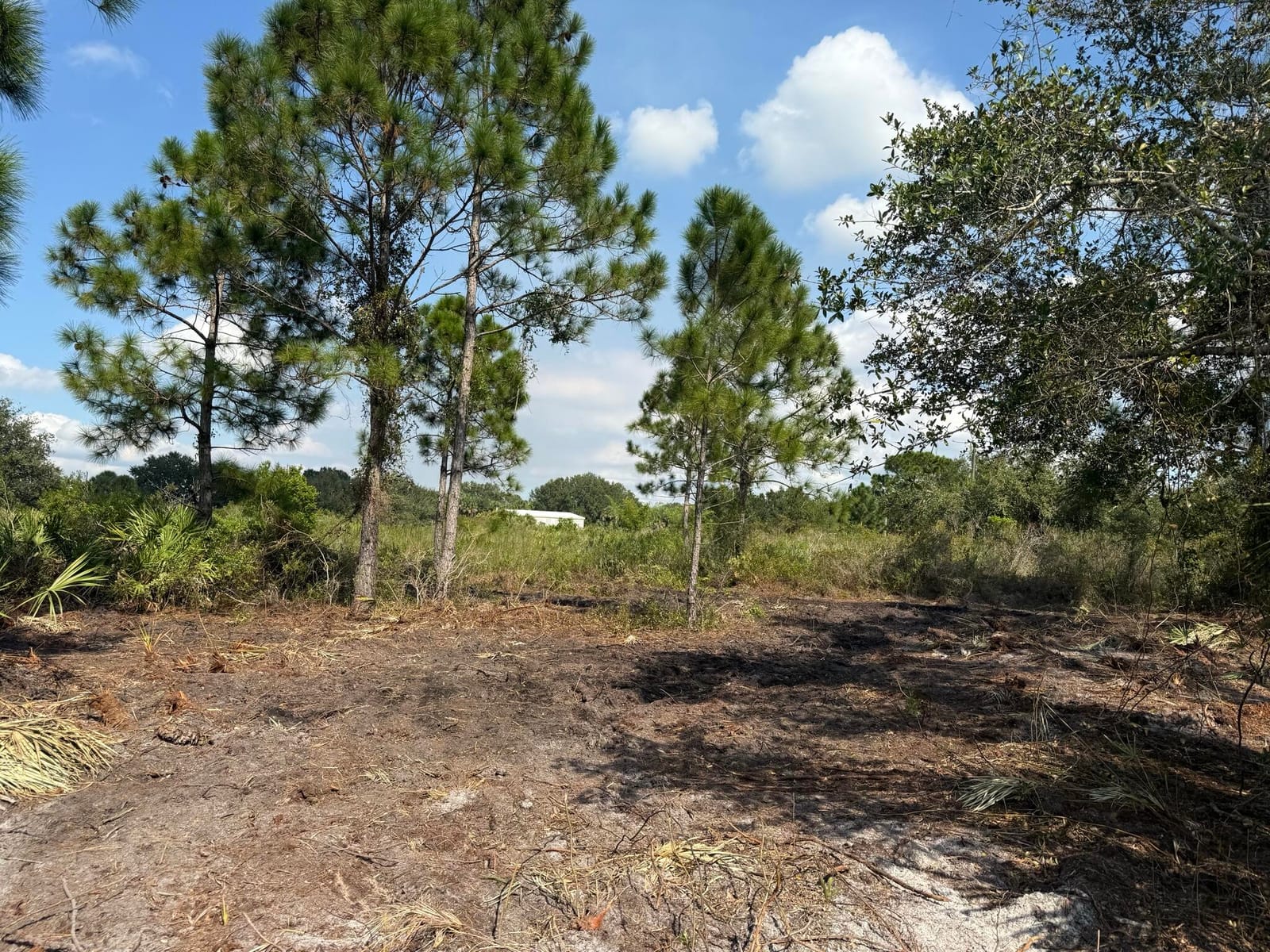 15417 NW 310th Street, Okeechobee, FL 34972