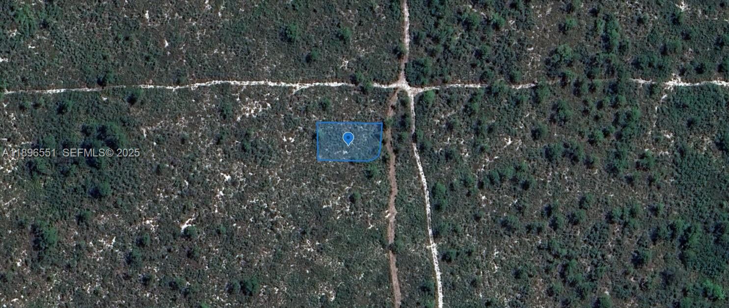 700 Watterson, Lake Placid, FL 33852, Lake Placid