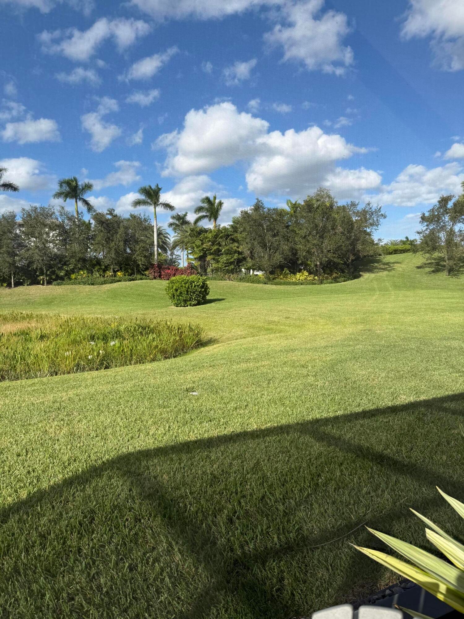 9249 Seahorse Bay Drive — photo 6