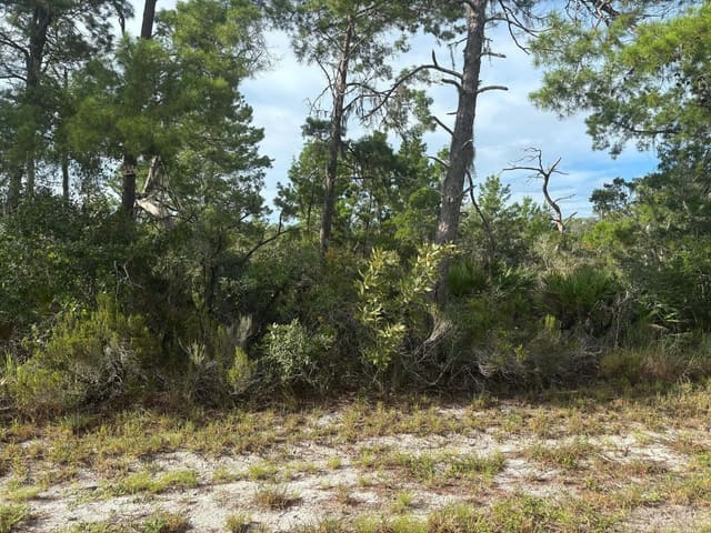 635 Boylston Street, Lake Placid, FL 33852