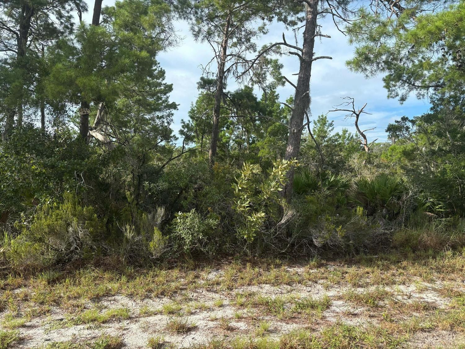 635 Boylston Street, Lake Placid, FL 33852, Lake Placid