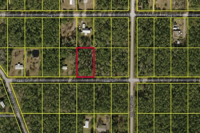 4220 Isaac Street, Hastings, FL 32145