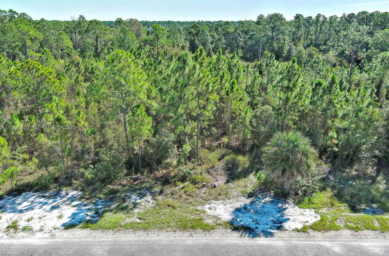 839 Kaley Avenue S, Lehigh Acres, FL 33974 photo 25