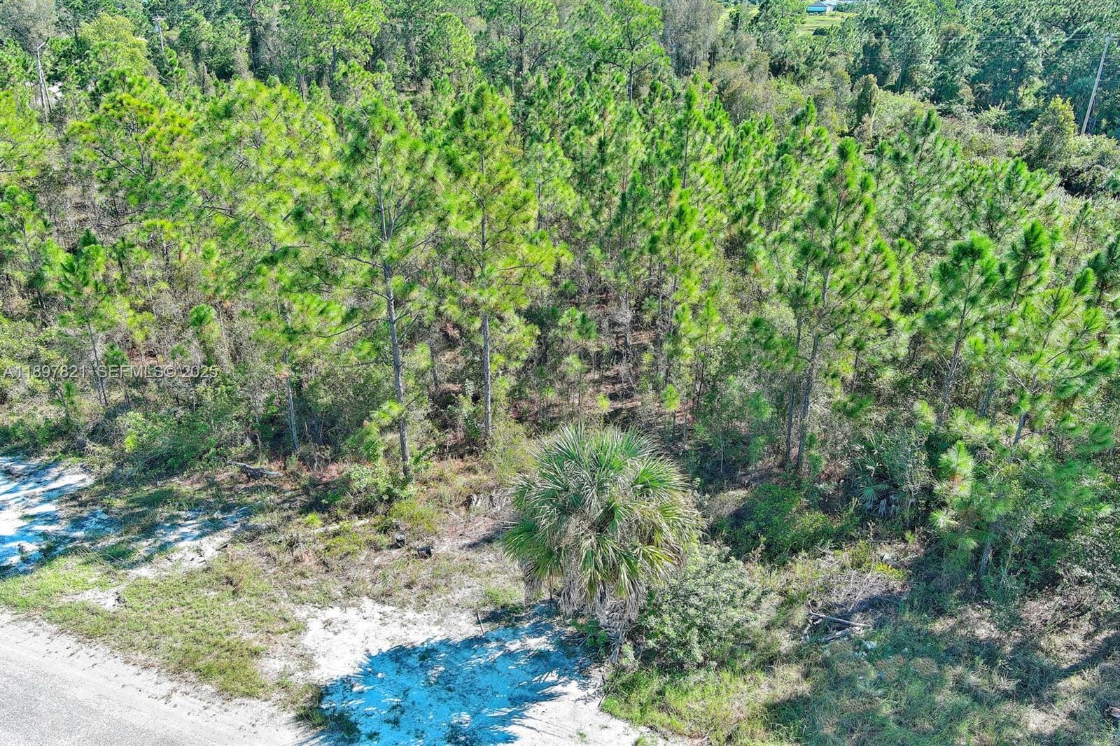 839 Kaley Avenue S, Lehigh Acres, FL 33974 photo 26