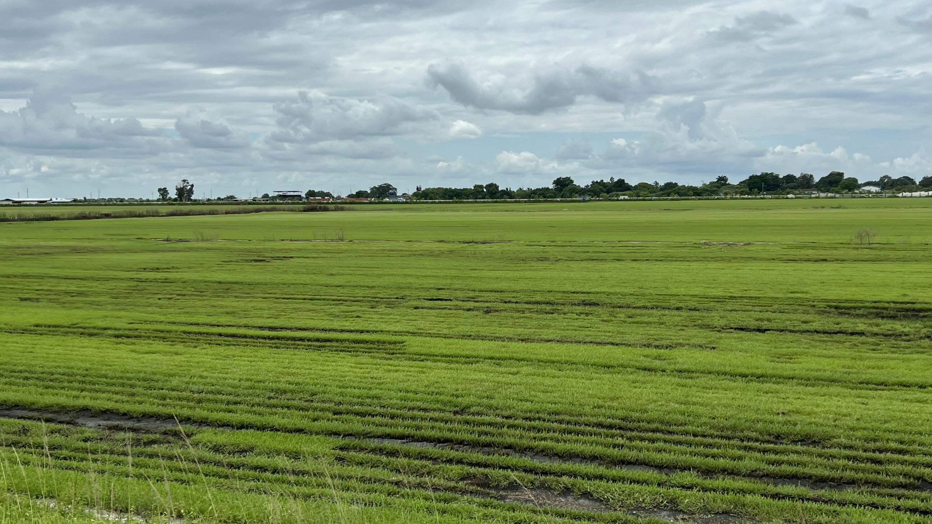 400 State Road 80, Belle Glade, FL 33430, Belle Glade