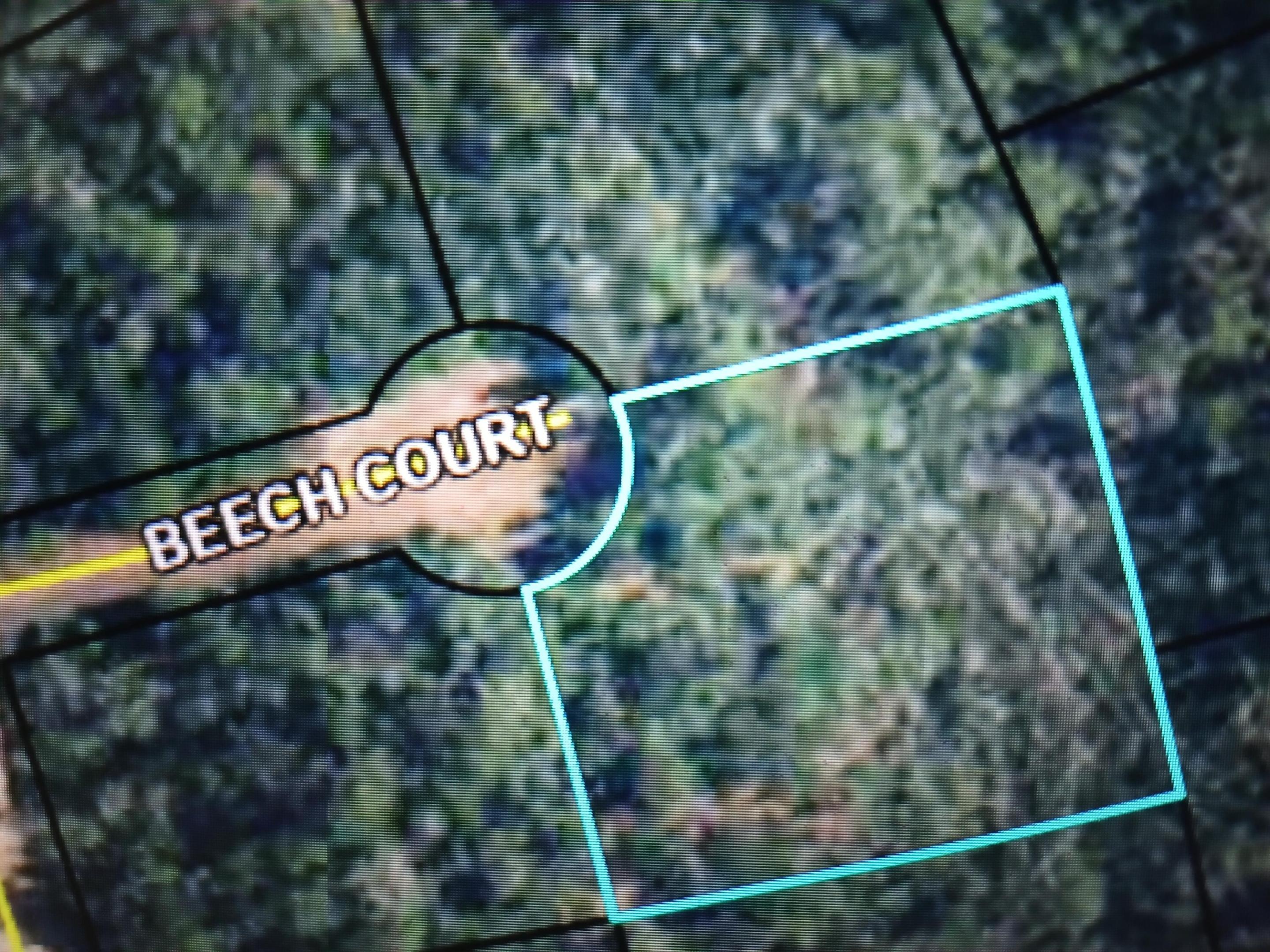 000 Beech Court, Alford, FL 32420, Alford