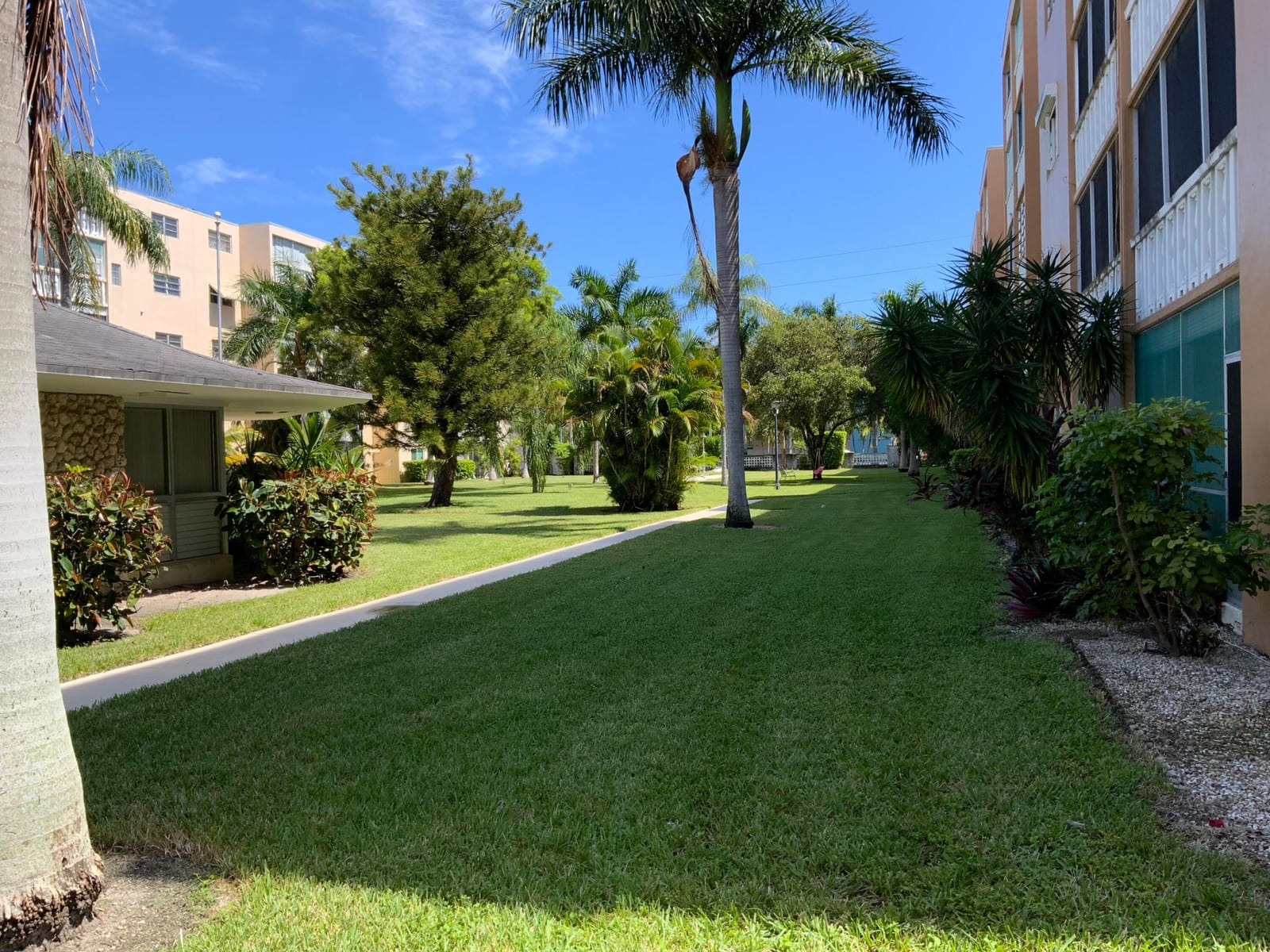 219 NE 14th Avenue 407, Hallandale Beach, FL 33009 photo 6