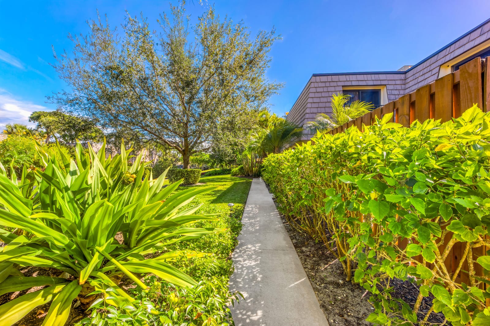 141 Ocean Cove Drive, Jupiter, FL 33477 photo 19