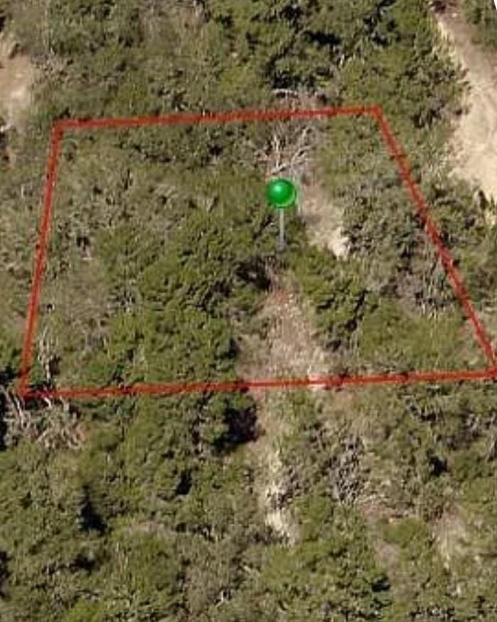 107 N Cristy Avenue, Inverness, FL 34452, Inverness
