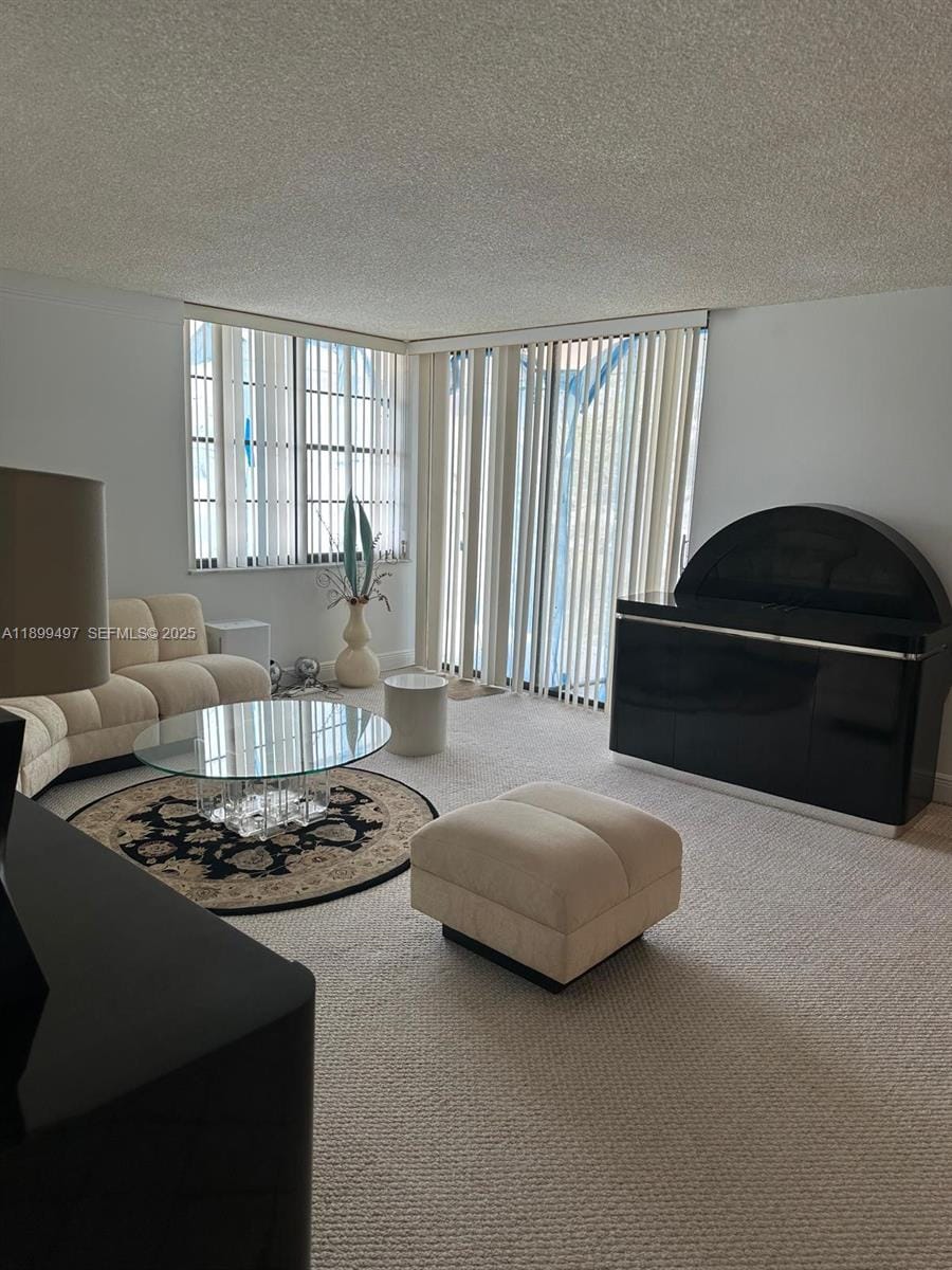 3900 N Hills Drive 310, Hollywood, FL 33021 photo 23