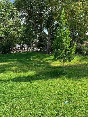 167 SW 3rd Street, Deerfield Beach, FL 33441 photo 15