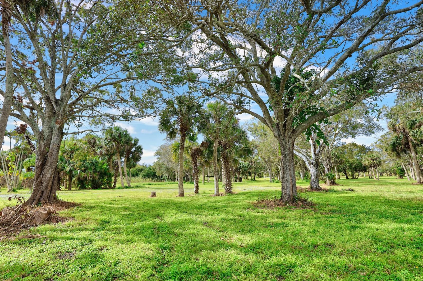9185 US Highway 1, Sebastian, FL 32958 photo 14