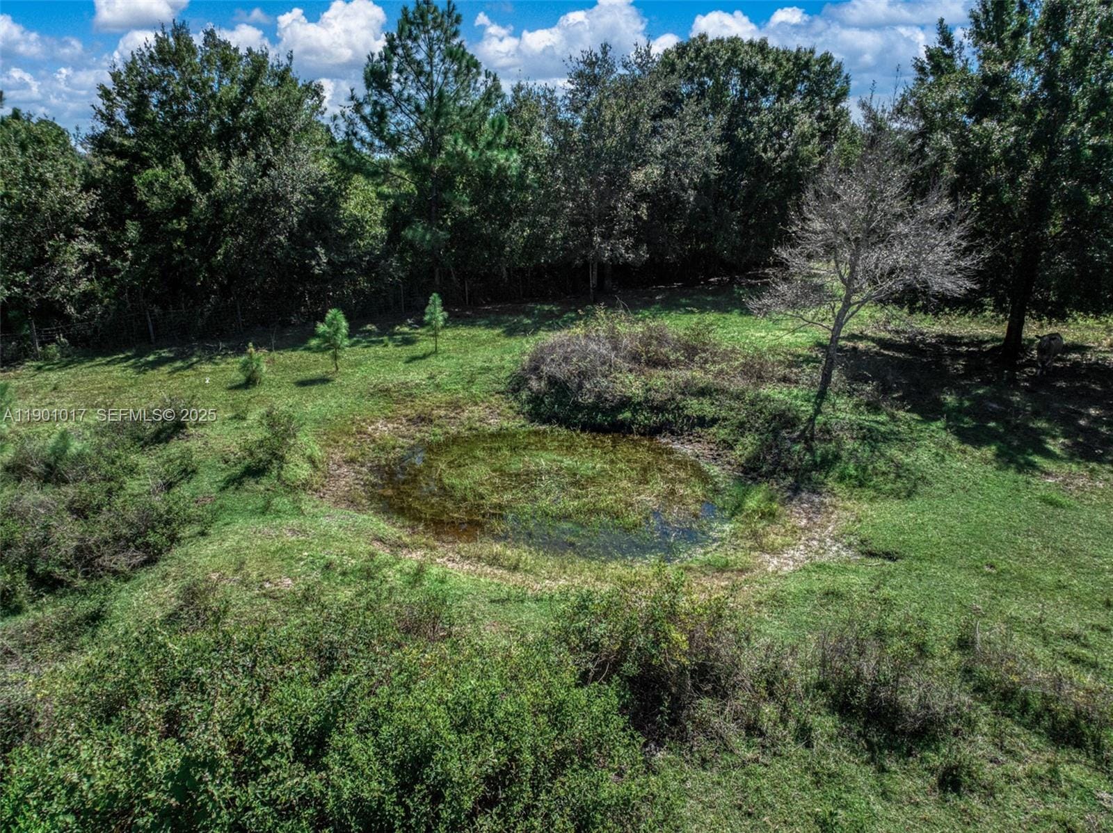 2232 Gem Stone, Lorida, FL 33857 photo 2