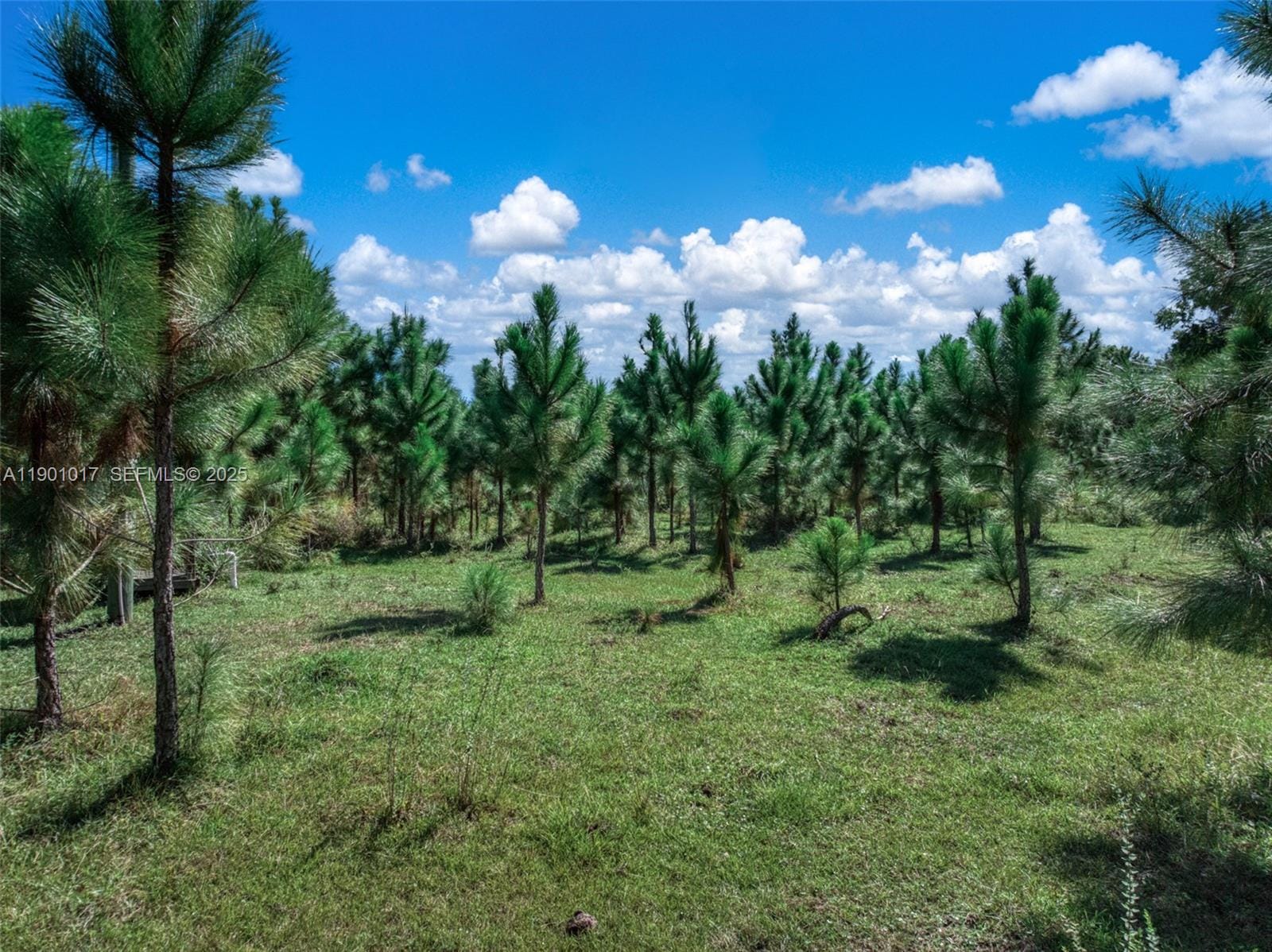 2232 Gem Stone, Lorida, FL 33857 photo 16