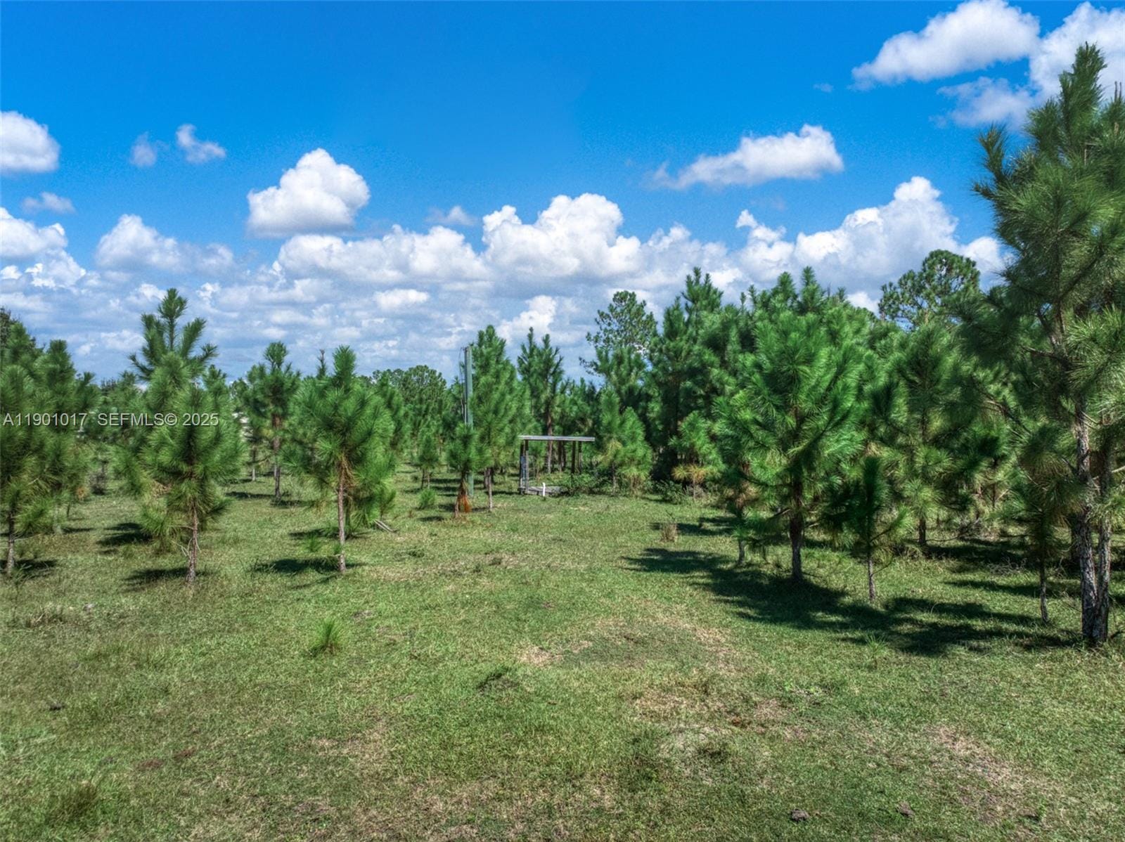 2232 Gem Stone, Lorida, FL 33857 photo 17