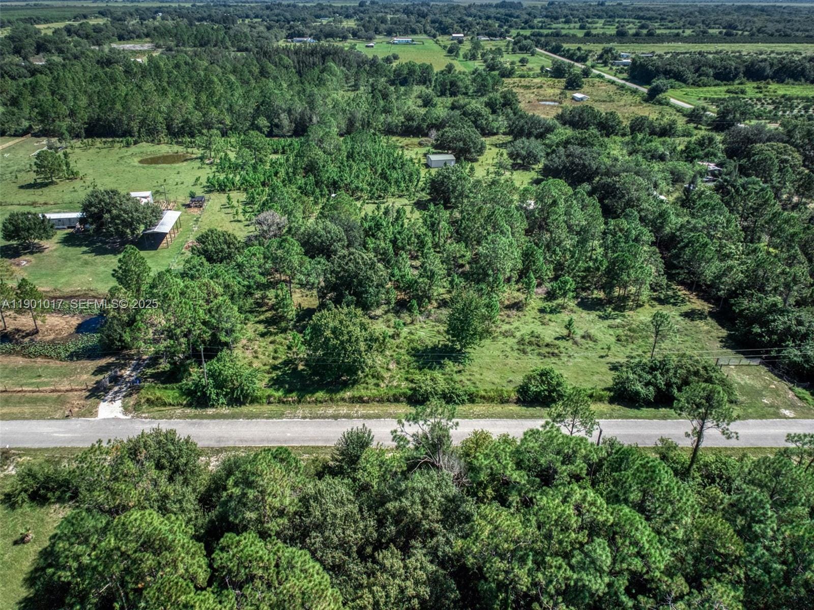 2232 Gem Stone, Lorida, FL 33857 photo 3