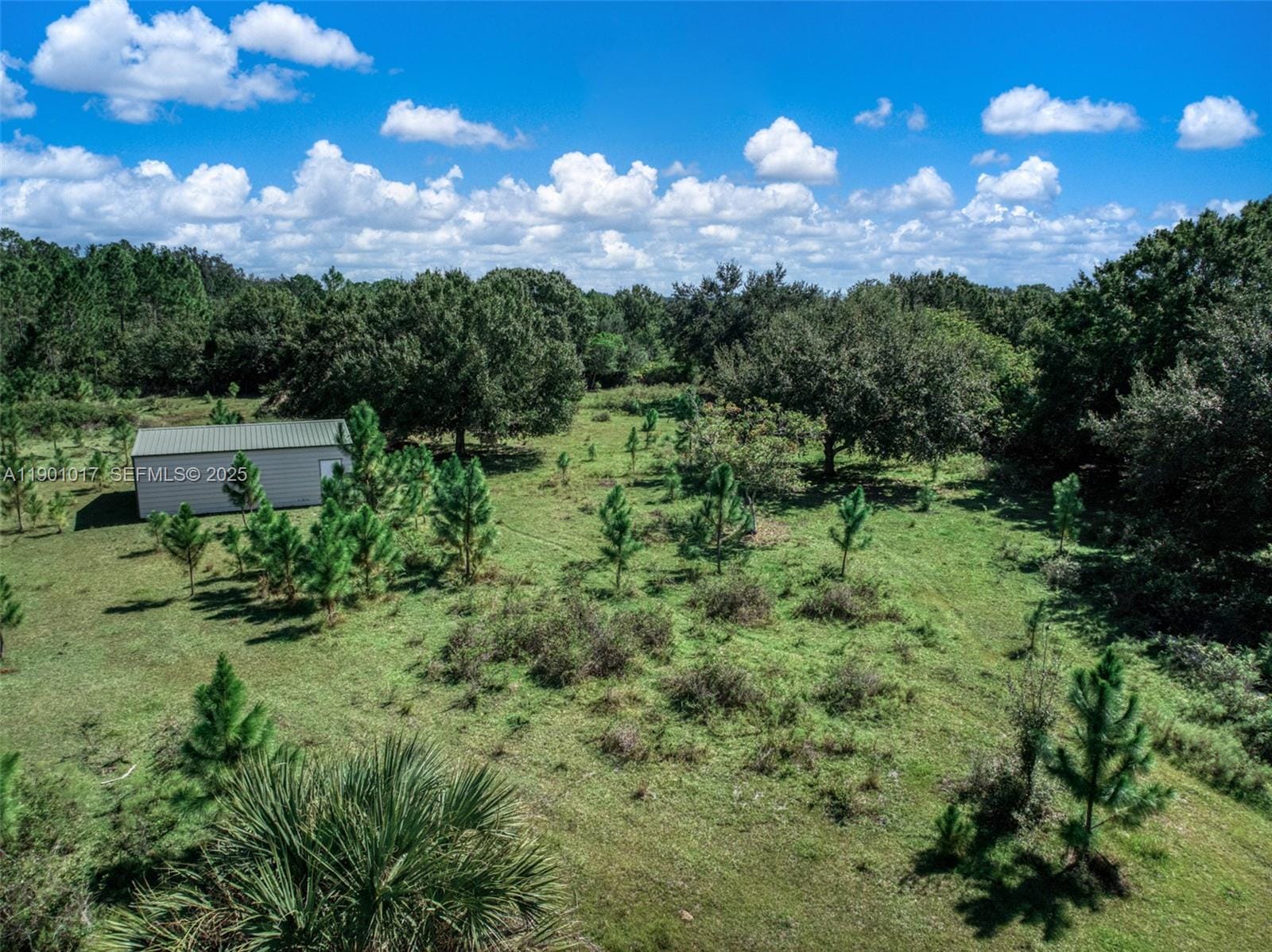 2232 Gem Stone, Lorida, FL 33857 photo 5