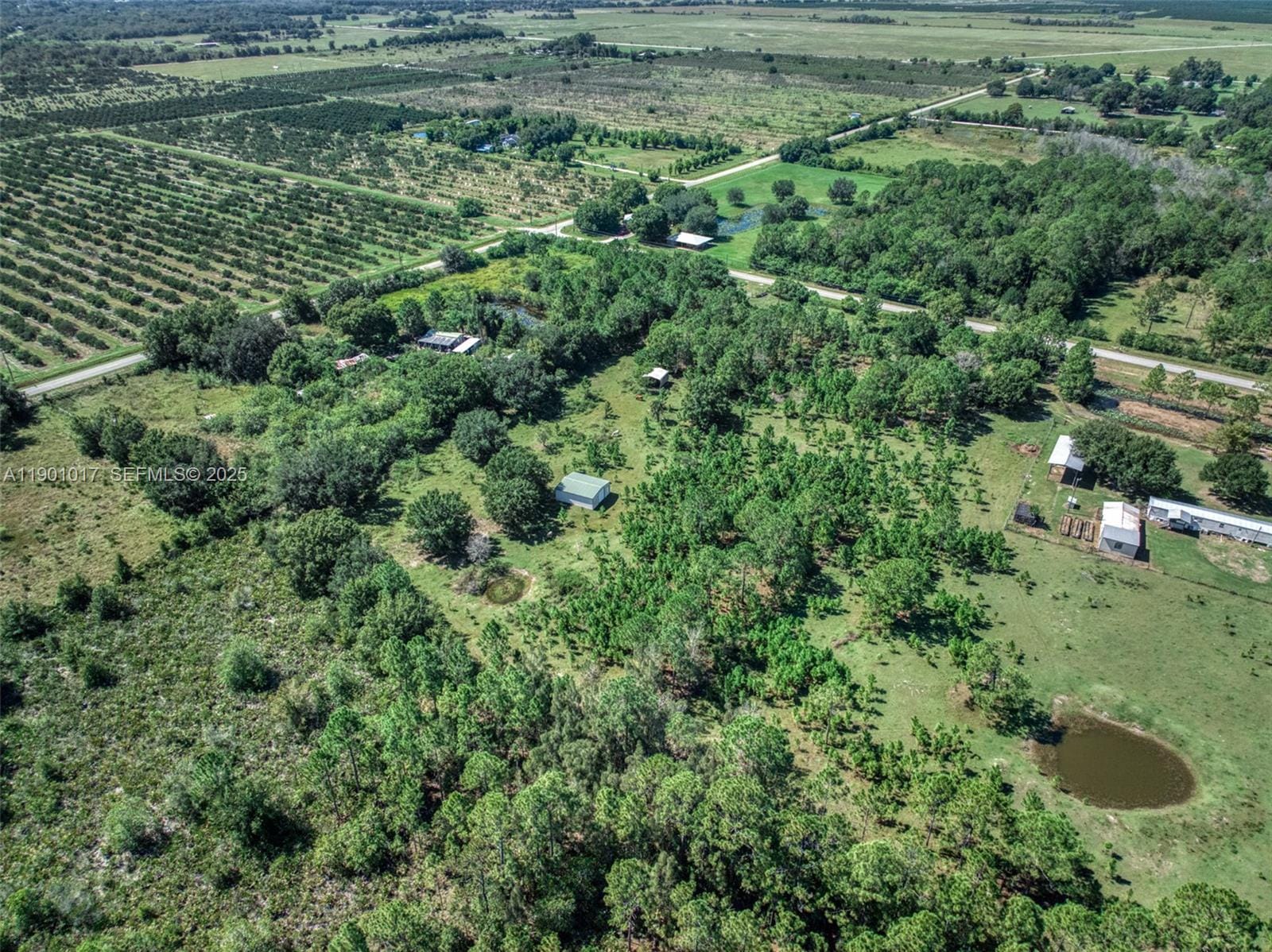2232 Gem Stone, Lorida, FL 33857 photo 9