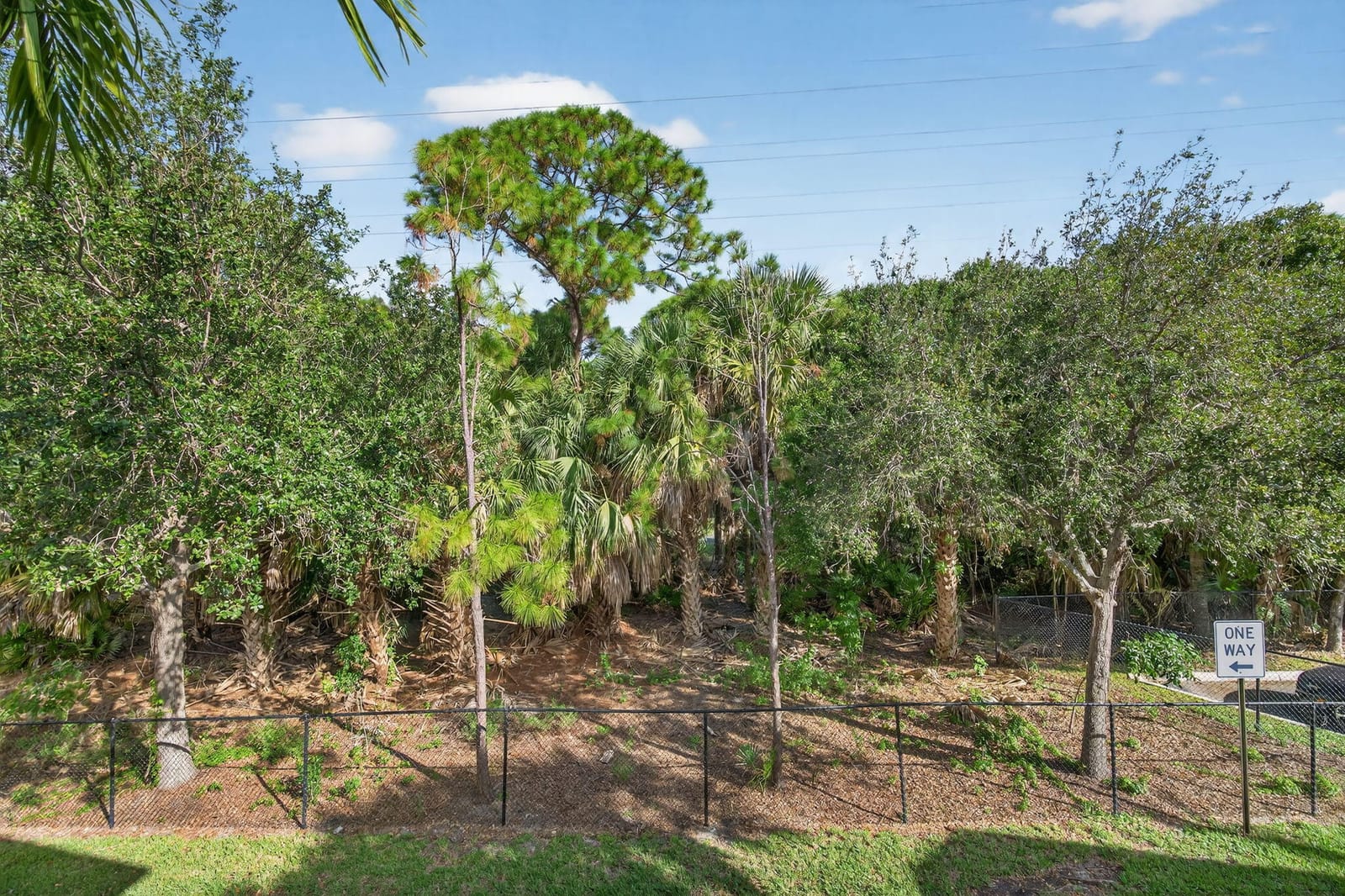 141 Seagrape Drive 203, Jupiter, FL 33458 photo 29